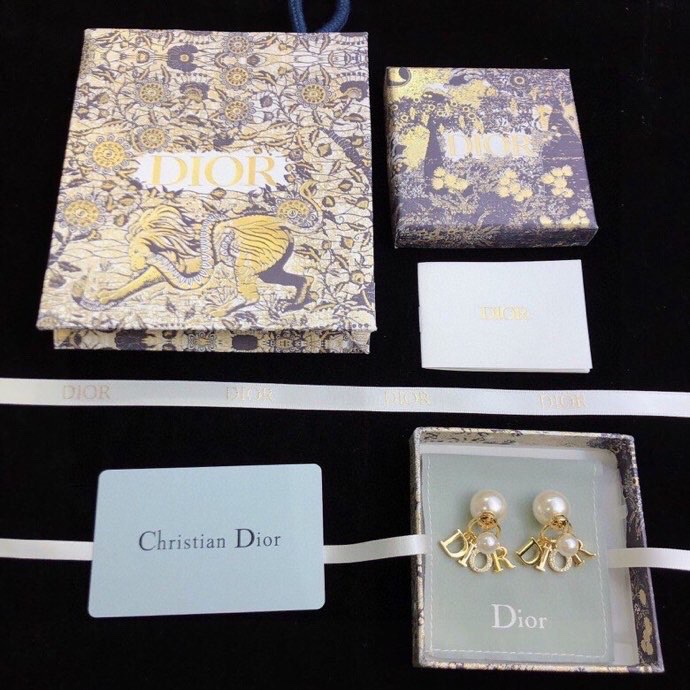 Christian Dior Earrings